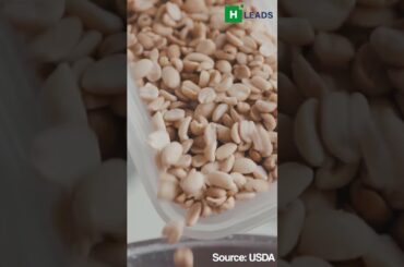 Top 5 High Protein Vegetarian Foods #healthy #food #protein #vegetarian #shorts