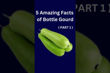 5 Amazing Health Benefits of Bottle Gourd (Part 1) #shorts #trending