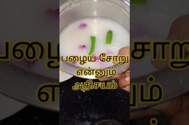 Palaya satham health benefits best summer recipe #shorts #tamil #foodie #food #trending #subscribe