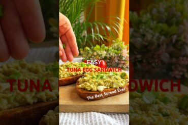 Easy Tuna and Egg Spread Recipe | Quick and Healthy Sandwich Filling #shorts #recipe #asmrfood