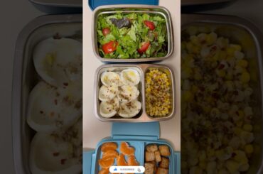 Healthy lunch box ideas | daily routine |mini vlog |life in New Jersey USA #shorts #minivlog