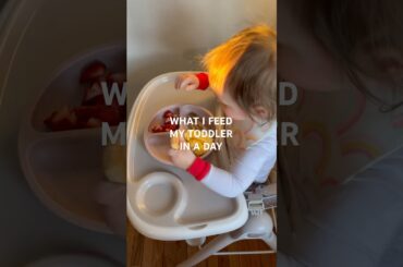 What I feed my toddler #food  #toddlers #whatieatinaday #fyp #vlog #baby #healthy #lunch #blw #mom