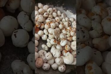 crunchy makhana, mashallah snacks crunchy makhana recipe, healthy tasty #healthysnacks #diet #recipe