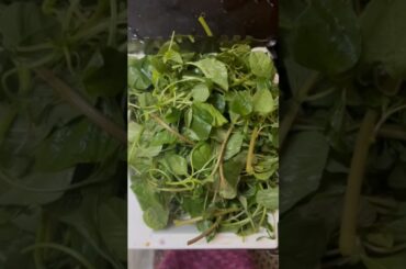 #keerairecipe #keerai kadaiyal#cooking #roti  #recipe #lunch #lunchbox #healthy #baby food#baby