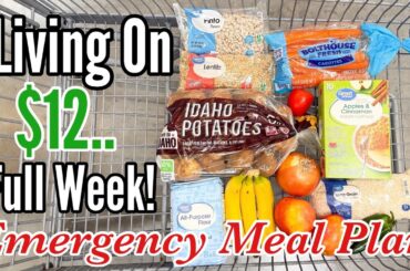 Eating on $12 a Week | Easy, Healthy & Cheap Recipes for an Emergency Budget