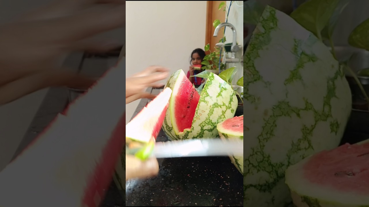 Marupadiyum mudhal irunthu enna lunch box recipe nu yosikanum #shorts #tamil #food #foodie #trending Marupadiyum mudhal irunthu enna lunch box recipe nu yosikanum #shorts #tamil #food #foodie #trending