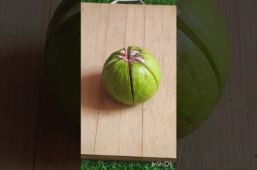 guava masala mix recipe #healthy #food #youtubeshort #recipe