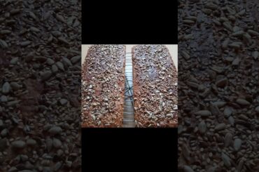 Healthy Bread Recipe #shorts #youtubeshorts #healthybread