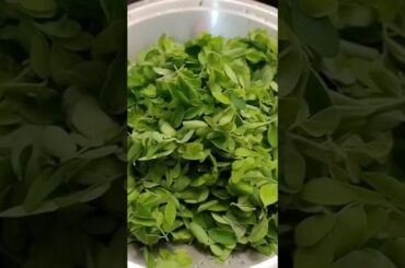 Sahjan ka daal healthy recipe  #bindusinghrecipe #recipe #healthy