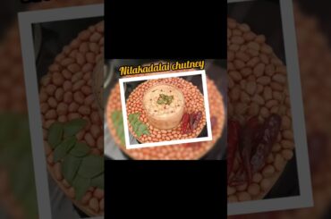 Nilakadalai chutney #shortsfeed #food #cooking #viral#trending #viral#shorts #shortvideo #healthy