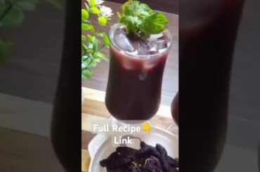 Shahtoot ka Sharbat | Mulberry Juice | Healthy and Tasty | Easy to Make