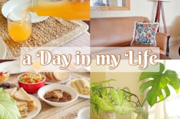 A Day in My Life | Healthy Recipes | Slow Living Diaries | Silent Vlog