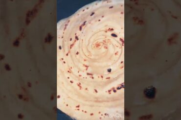 Wheat lachha paratha #food #recipe #healthy #easyrecipe #foodie