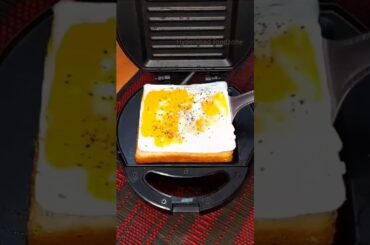 Healthy, Tasty and Cheesy Sandwich