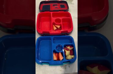 Easy & Healthy lunch for my kids! Fresh strawberries & apples, sourdough granola bars and protein!