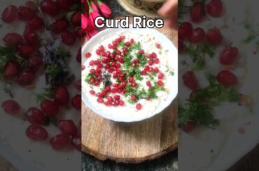 South Indian Traditional Curd Rice #shorts #curdrice #recipes #lunch #youtubeshorts #viralvideo