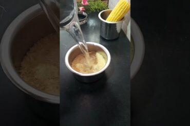 easy lunch in my home | simple & healthy lunch #healthyfoods #lunchbox #healthylunch #cooking #lunch