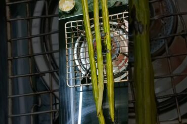 Magical Benefits of moringa / Drumstick #recipe #short #trending #drumsticks #moringa #ytshorts