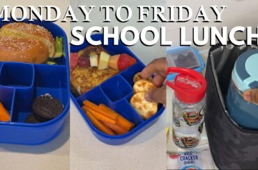 5 QUICK AND EASY KIDS SCHOOL LUNCH BOX IDEAS | EASY BENTO BOX LUNCH IDEAS FOR SCHOOL #school #lunch