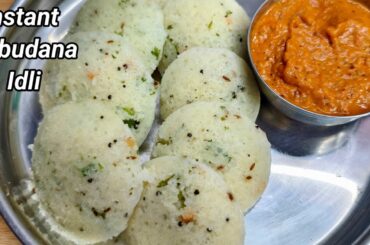 Healthy Breakfast Ideas |Sabudana Idli |Ragi Idli |How To Make Idli |South Indian Breakfast Recipes