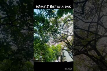 What I eat in a day  #minivlog #youtubeshorts #eating #dietplan #sandwhiches  #whatsinmyplate