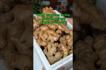 What happens to the body if you eat ginger every day? #health #shorts #healthy #body #healthtips