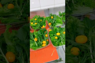 Simple & Healthy Salad Recipe | Cherry Tomato, Mizuna, Baby Gem #saladrecipe #salads #salad