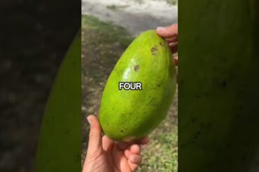 Eat these foods as they are so high in zinc #health #healthtips  #zinc #zincfoods #nutrients #food