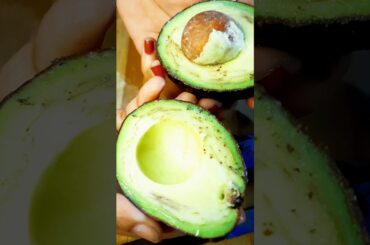 Avocado Sandwich Recipe | Easy and Healthy 10 mins Breakfast Recipe|#shorts #youtubeshorts #sandwich