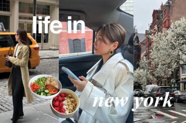LIFE IN NYC | healthy recipes i’ve been eating, highs and lows, dog mom life