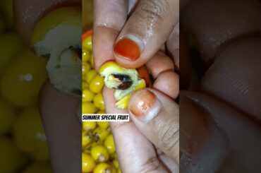 Summer special Fruit ( paala pallu ) #summer #special #fruit