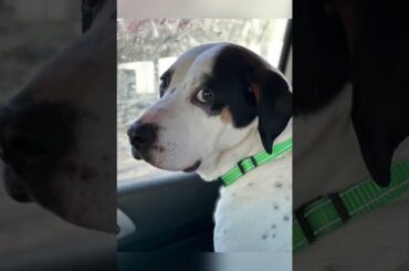 Healthy Kids Snacks Made Easy | Fun, Tasty, and Quick Recipes for Busy Parents