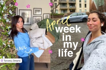 WEEK IN MY LIFE vlog: spring clothing hauls, meal prep + healthy recipes!