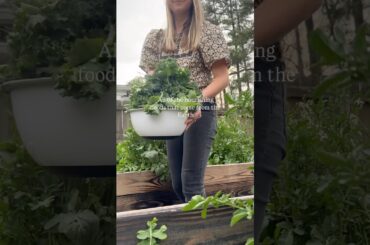 Healthy recipes from the garden