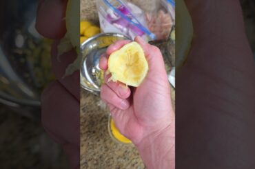 Lemon Herb Chicken Kabobs #poormanscomfortfood #aldi #budgetmeals #cheapmeals #healthydinner