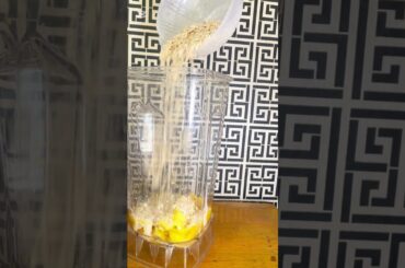 Healthy plantain buns with no flour to satisfy your craving#pcosfood #healthy #snacks #food #recipe