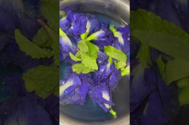 #bluetea #healthy #recipe #reels #trending #food #viralvideo #ytshorts #youtubeshorts #homecook