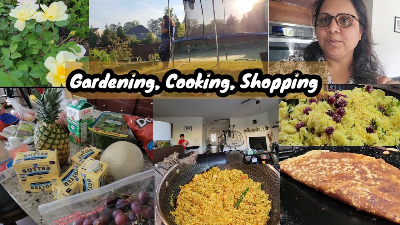 Friday Grocery Shopping| Healthy recipes| Quinoa dosa, Moong dal khamani, Quick paneer Bhurji Friday Grocery Shopping| Healthy recipes| Quinoa dosa, Moong dal khamani, Quick paneer Bhurji