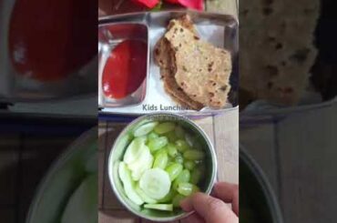 Healthy Lunchbox Ideas..#lunch #lunchbox #tiffin #food #shorts #trending #ytshorts #reels #healthy