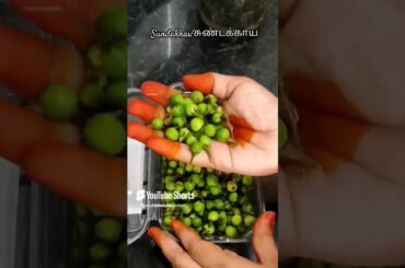 Sundakkai benefits in tamil| Sundakkai chutney recipe #shorts #healthyrecipes