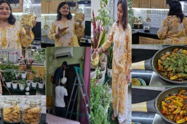 Healthy Dinner Recipe,Summer Plants Fertilizers,Healthy Snacking Idea,Anvesha's Creativity