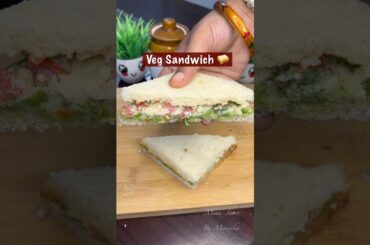 Healthy Cold Veg Sandwich | No Cook, No Oil