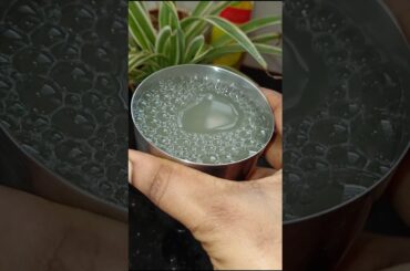 Powerful Body Detoxifying juice/Vellai poosani juice/White Pumpkin juice #tips #tamil #shorts #food