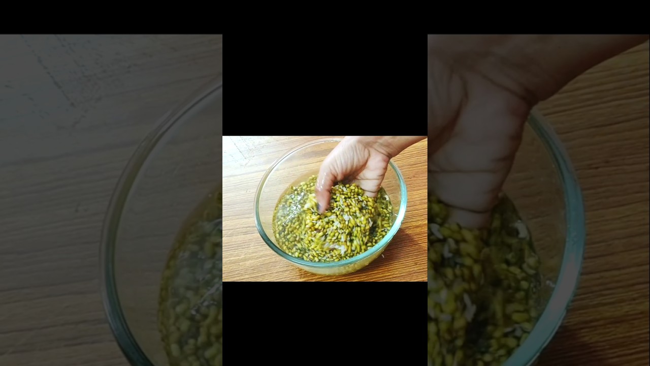 Healthy Moong Dal Cheela#Healthy Breakfast #shorts Healthy Moong Dal Cheela#Healthy Breakfast #shorts