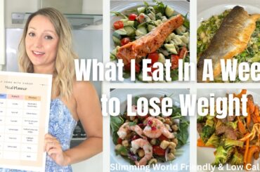 Realistic Week of Dinners | Food Dairy | Low Calorie & Slimming World Friendly