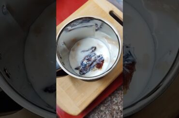 Healthy Nuts and Dates Drink #food #recipe #youtubeshorts #shorts #shortvideo #ytshorts #healthy