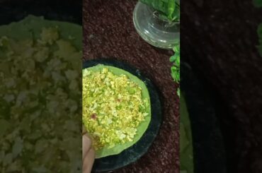 palak roll recipe|| Healthy breakfast recipe|| #ytshorts #food #recipe #motivation