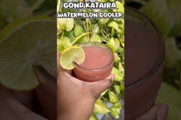 Gond Katina watermelon energy drink recipe #recipe #tranding #food #drink #juice #healthy #reel