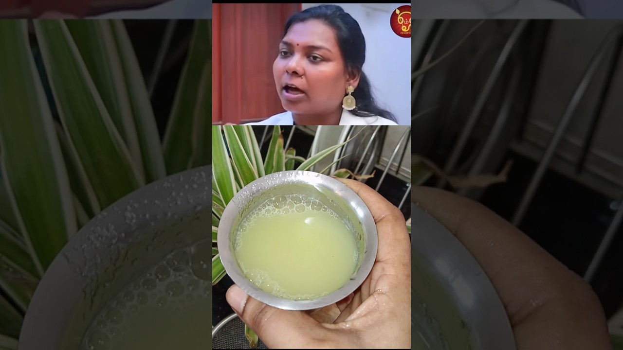 First Food at our Empty stomach Turmeric Amla juice #tips #tamil #healthy #shorts #trending First Food at our Empty stomach Turmeric Amla juice #tips #tamil #healthy #shorts #trending