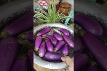 kathirika Evalo Periya visayam panuthu kidney ku #tips #tamil #shorts #food #healthy #trending